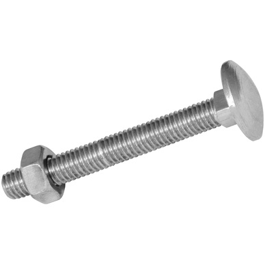 Coach Bolt & Nut M10 x 100